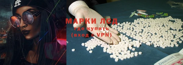 хмурый Аркадак
