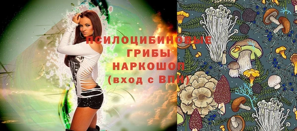 тгк Алексин