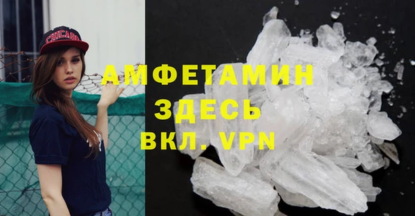 хмурый Аркадак