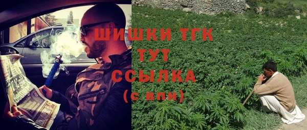 хмурый Аркадак