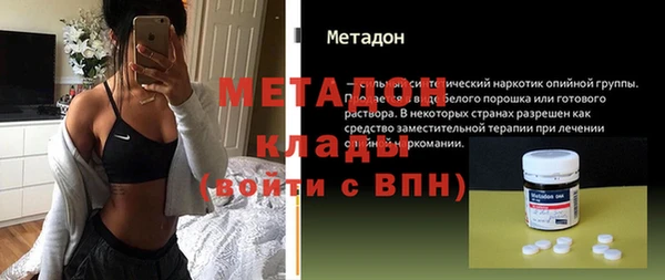хмурый Аркадак