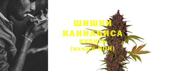 spice Арсеньев