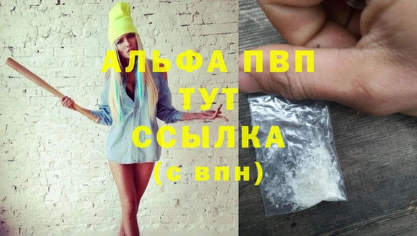 хмурый Аркадак
