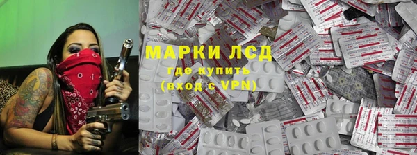 хмурый Аркадак