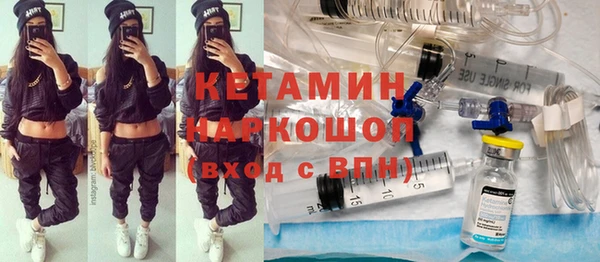 хмурый Аркадак