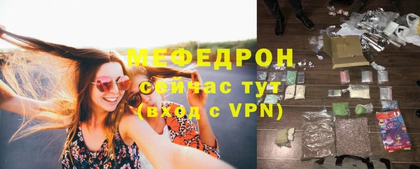 хмурый Аркадак
