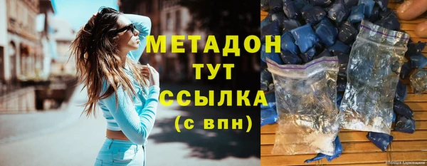 хмурый Аркадак