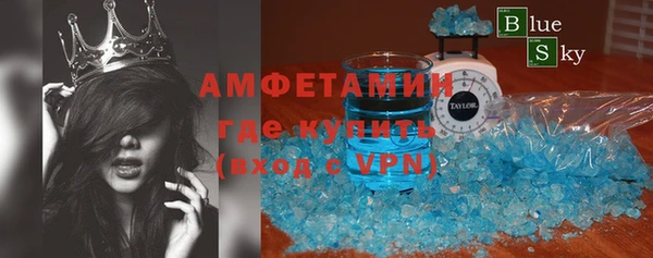 хмурый Аркадак