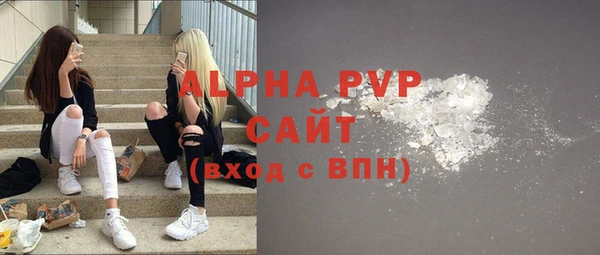 хмурый Аркадак