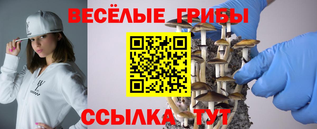 Псилоцибиновые грибы ЛСД Мурманск